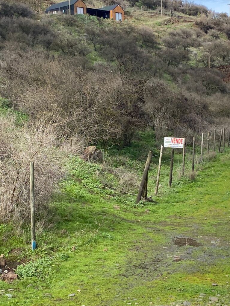 PARCELA / CERRO CRISTAL / CURICÓ (cód-001322)