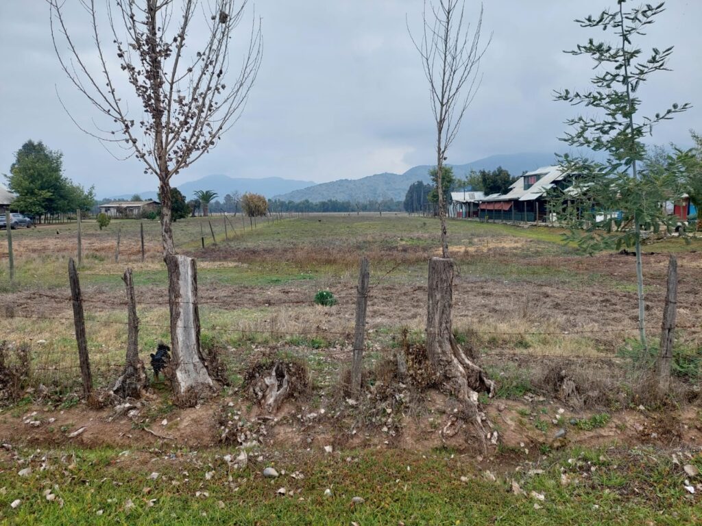TERRENO / RAUCO / CURICÓ (cód-001317)